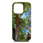 Patagonian Forest Trees Close-up, Rio Negro Province, Patagonia, Argentina iPhone 16 Pro Black UV Print PC Hardshell Case