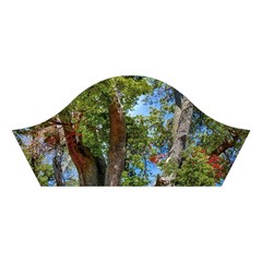 Patagonian Forest Trees Close Right Sleeve