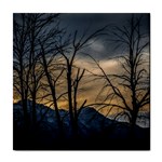 Tree silhouette at border of nahuel haupi lake, rio negro, argentina Tile Coaster