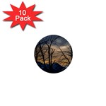 Tree silhouette at border of nahuel haupi lake, rio negro, argentina 1  Mini Magnet (10 pack) 