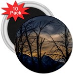 Tree silhouette at border of nahuel haupi lake, rio negro, argentina 3  Magnets (10 pack) 