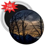 Tree silhouette at border of nahuel haupi lake, rio negro, argentina 3  Magnets (100 pack)