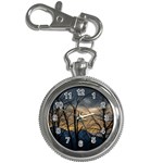 Tree silhouette at border of nahuel haupi lake, rio negro, argentina Key Chain Watches