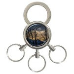 Tree silhouette at border of nahuel haupi lake, rio negro, argentina 3-Ring Key Chain