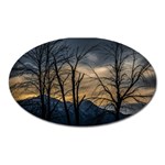 Tree silhouette at border of nahuel haupi lake, rio negro, argentina Oval Magnet