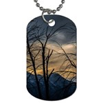 Tree silhouette at border of nahuel haupi lake, rio negro, argentina Dog Tag (One Side)