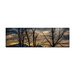 Tree silhouette at border of nahuel haupi lake, rio negro, argentina Sticker Bumper (100 pack)