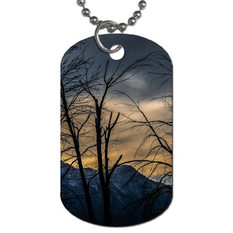 Tree silhouette at border of nahuel haupi lake, rio negro, argentina Dog Tag (Two Sides) from ArtsNow.com Front