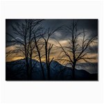 Tree silhouette at border of nahuel haupi lake, rio negro, argentina Postcard 4 x 6  (Pkg of 10)