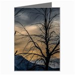 Tree silhouette at border of nahuel haupi lake, rio negro, argentina Greeting Card