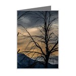 Tree silhouette at border of nahuel haupi lake, rio negro, argentina Mini Greeting Card