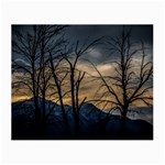 Tree silhouette at border of nahuel haupi lake, rio negro, argentina Small Glasses Cloth