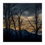 Tree silhouette at border of nahuel haupi lake, rio negro, argentina Medium Glasses Cloth