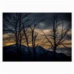 Tree silhouette at border of nahuel haupi lake, rio negro, argentina Large Glasses Cloth