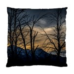 Tree silhouette at border of nahuel haupi lake, rio negro, argentina Standard Cushion Case (One Side)