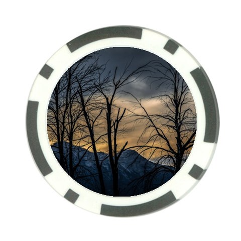 Tree silhouette at border of nahuel haupi lake, rio negro, argentina Poker Chip Card Guard (10 pack) from ArtsNow.com Front