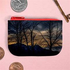 Tree silhouette at border of nahuel haupi lake, rio negro, argentina Mini Coin Purse from ArtsNow.com Front