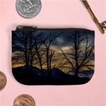 Tree silhouette at border of nahuel haupi lake, rio negro, argentina Mini Coin Purse