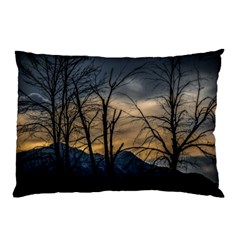 Tree silhouette at border of nahuel haupi lake, rio negro, argentina Pillow Case (Two Sides) from ArtsNow.com Back