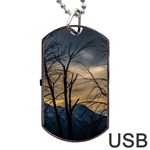 Tree silhouette at border of nahuel haupi lake, rio negro, argentina Dog Tag USB Flash (One Side)