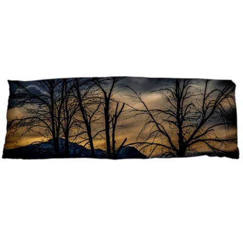 Tree silhouette at border of nahuel haupi lake, rio negro, argentina One Side Body Pillow Cases from ArtsNow.com Body Pillow Case