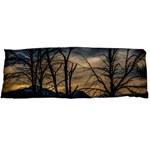 Tree silhouette at border of nahuel haupi lake, rio negro, argentina One Side Body Pillow Cases