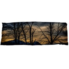 Tree silhouette at border of nahuel haupi lake, rio negro, argentina 21 x60  Body Pillow Case Dakimakura (Two Sides) from ArtsNow.com Front