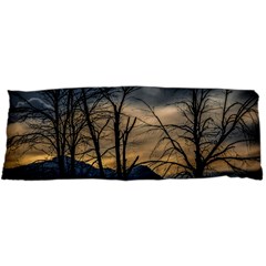 Tree silhouette at border of nahuel haupi lake, rio negro, argentina 15 x40  Body Pillow Case Dakimakura (Two Sides) from ArtsNow.com Front