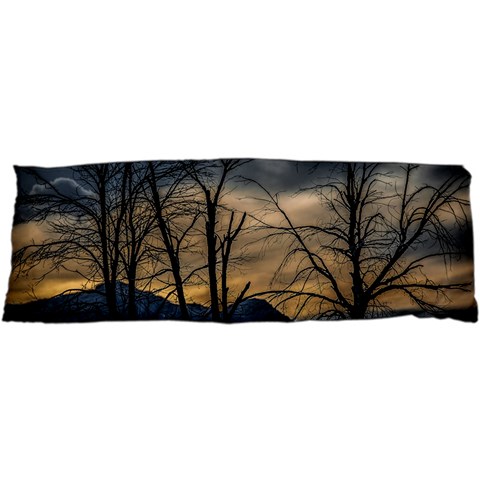 Tree silhouette at border of nahuel haupi lake, rio negro, argentina 17 x47  Body Pillow Case Dakimakura (Two Sides) from ArtsNow.com Front