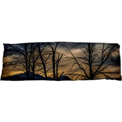 Tree silhouette at border of nahuel haupi lake, rio negro, argentina 21 x63  Body Pillow Case Dakimakura (Two Sides) from ArtsNow.com Front