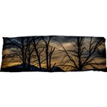 Tree silhouette at border of nahuel haupi lake, rio negro, argentina 25 x71  Body Pillow Case Dakimakura (Two Sides)