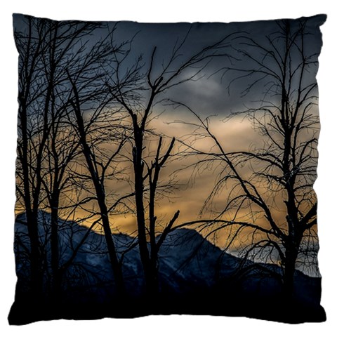 Tree silhouette at border of nahuel haupi lake, rio negro, argentina Large Cushion Case (One Side) from ArtsNow.com Front