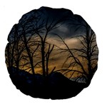 Tree silhouette at border of nahuel haupi lake, rio negro, argentina Large 18  Premium Round Cushions