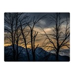 Tree silhouette at border of nahuel haupi lake, rio negro, argentina Two Sides Premium Plush Fleece Blanket (Mini)