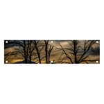 Tree silhouette at border of nahuel haupi lake, rio negro, argentina Banner and Sign 4  x 1 