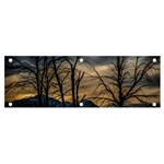 Tree silhouette at border of nahuel haupi lake, rio negro, argentina Banner and Sign 6  x 2 