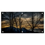 Tree silhouette at border of nahuel haupi lake, rio negro, argentina Banner and Sign 6  x 3 