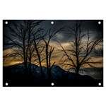 Tree silhouette at border of nahuel haupi lake, rio negro, argentina Banner and Sign 6  x 4 