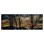 Tree silhouette at border of nahuel haupi lake, rio negro, argentina Banner and Sign 8  x 3 