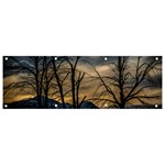 Tree silhouette at border of nahuel haupi lake, rio negro, argentina Banner and Sign 9  x 3 