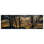 Tree silhouette at border of nahuel haupi lake, rio negro, argentina Banner and Sign 12  x 4 