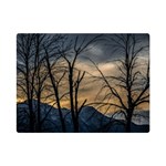 Tree silhouette at border of nahuel haupi lake, rio negro, argentina Premium Plush Fleece Blanket (Mini)