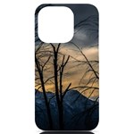 Tree silhouette at border of nahuel haupi lake, rio negro, argentina iPhone 14 Pro Black UV Print PC Hardshell Case