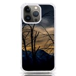 Tree silhouette at border of nahuel haupi lake, rio negro, argentina iPhone 13 Pro TPU UV Print Case