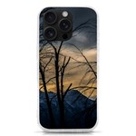 Tree silhouette at border of nahuel haupi lake, rio negro, argentina iPhone 16 Pro TPU UV Print Case