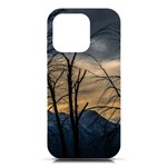 Tree silhouette at border of nahuel haupi lake, rio negro, argentina iPhone 16 Pro Black UV Print PC Hardshell Case