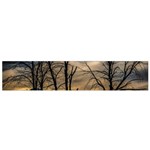 Tree Silhouette At Border Of Nahuel Haupi Lake, Rio Negro, Argentina Small Premium Plush Fleece Scarf