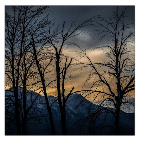 Tree Silhouette At Border Of Nahuel Haupi Lake, Rio Negro, Argentina Square Satin Scarf (36  x 36 ) from ArtsNow.com Front