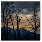 Tree Silhouette At Border Of Nahuel Haupi Lake, Rio Negro, Argentina Square Satin Scarf (36  x 36 )