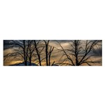 Tree Silhouette At Border Of Nahuel Haupi Lake, Rio Negro, Argentina Oblong Satin Scarf (16  x 60 )